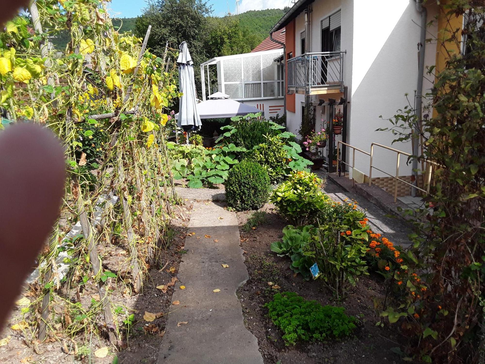 Haus Kallin Idar-Oberstein Esterno foto