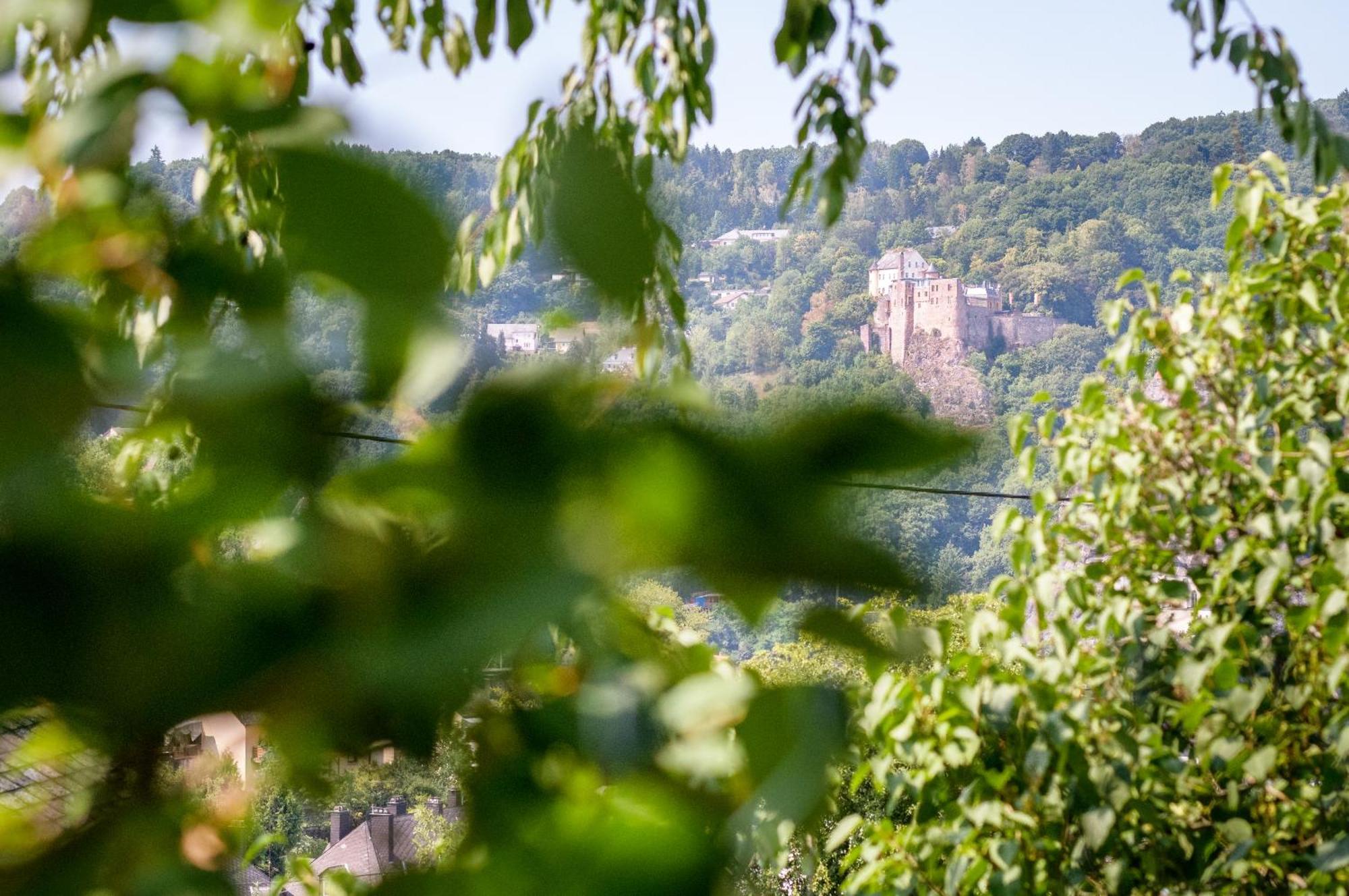 Haus Kallin Idar-Oberstein Esterno foto
