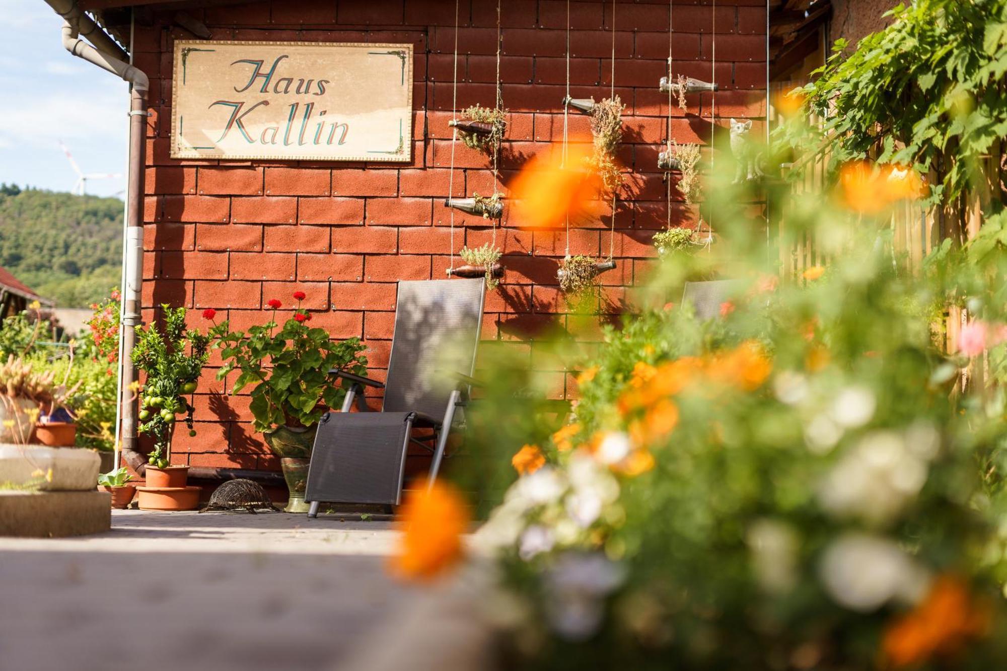 Haus Kallin Idar-Oberstein Esterno foto